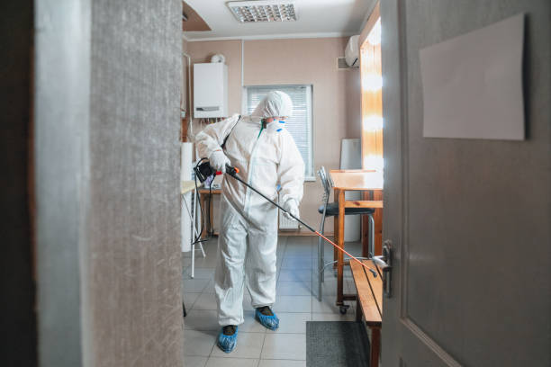 Best Emergency Mold Remediation  in George Mason, VA