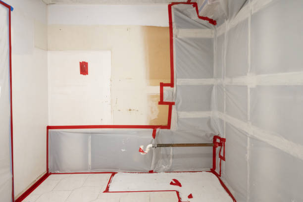 Best Mold Prevention Services  in George Mason, VA