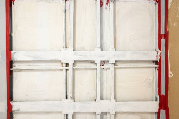 Best Post-Construction Mold Inspection  in George Mason, VA