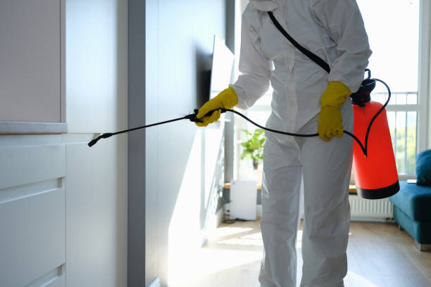 Best Commercial Mold Inspection  in George Mason, VA