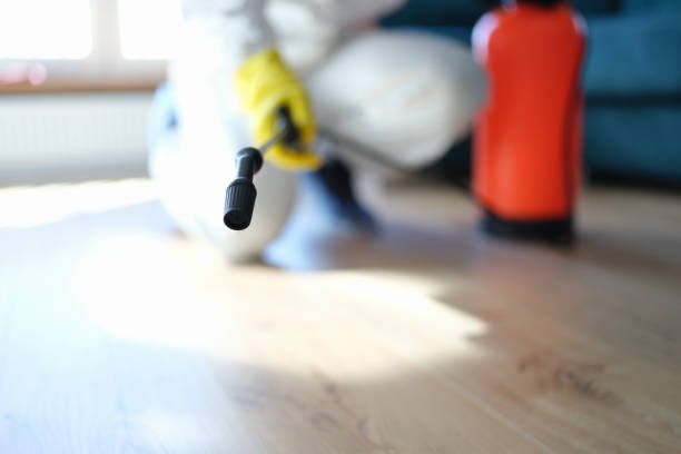 Best Indoor Air Quality Assessment  in George Mason, VA