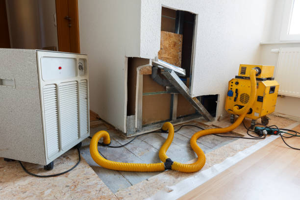 Best Mold Removal for HVAC Installations  in George Mason, VA
