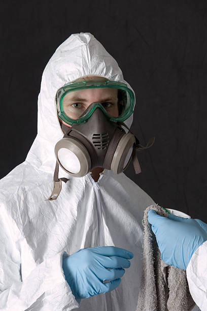 Best Basement Mold Removal  in George Mason, VA